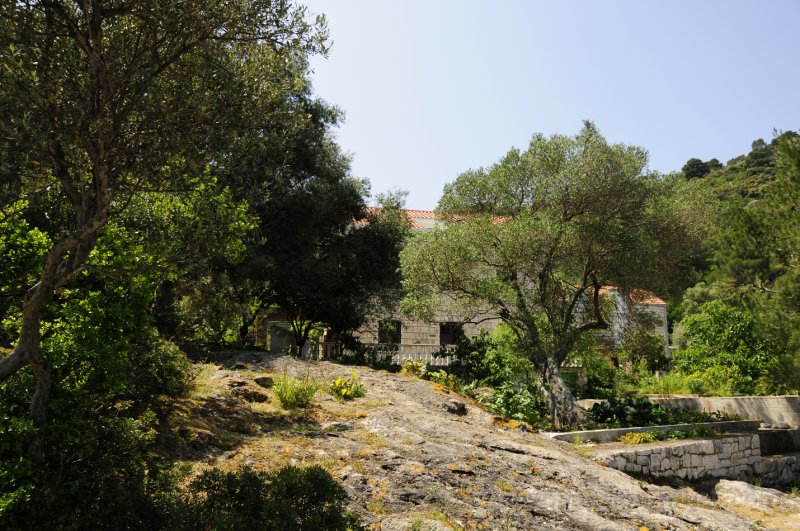 PansionMljetHouse-014.JPG
