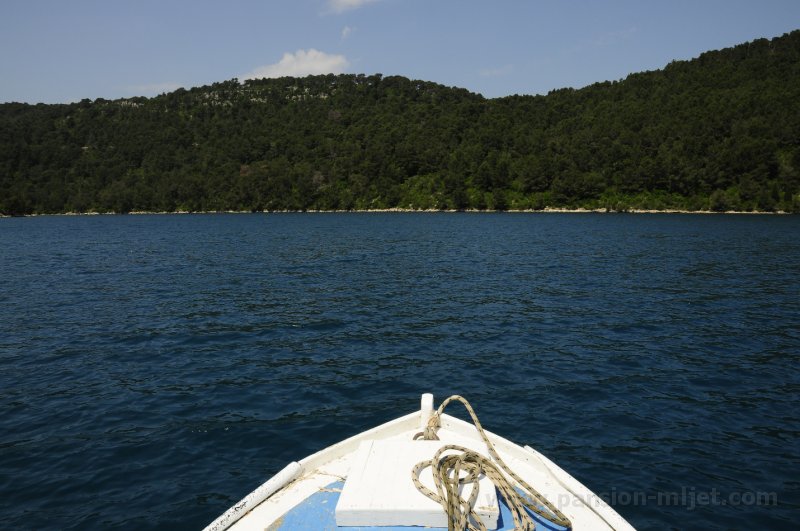 PansionMljetHouse-015.JPG