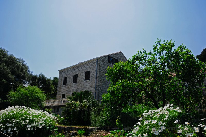 PansionMljetHouse-031.jpg