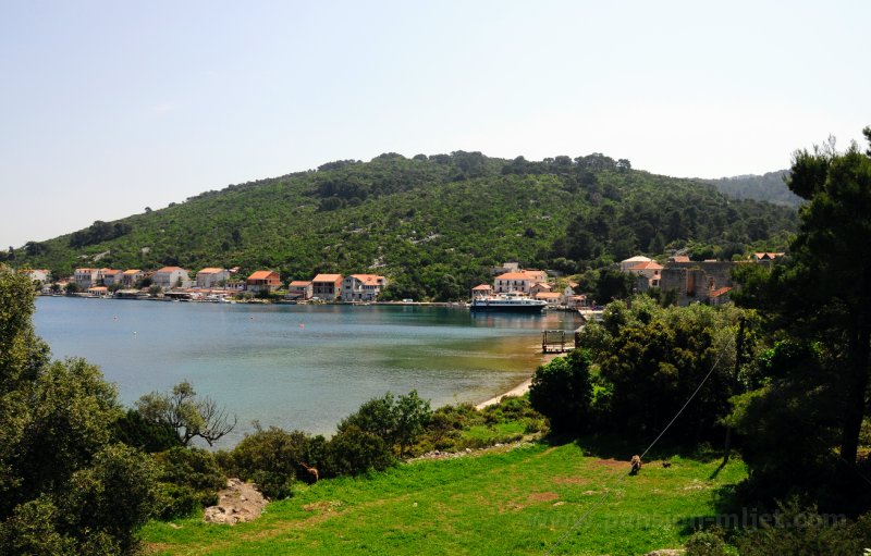 PansionMljetHouse-047.jpg